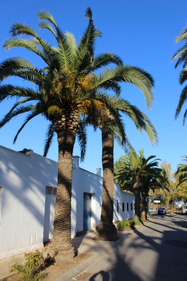 Lo Segador Casa de hóspedes El Poble Nou del Delta Exterior foto