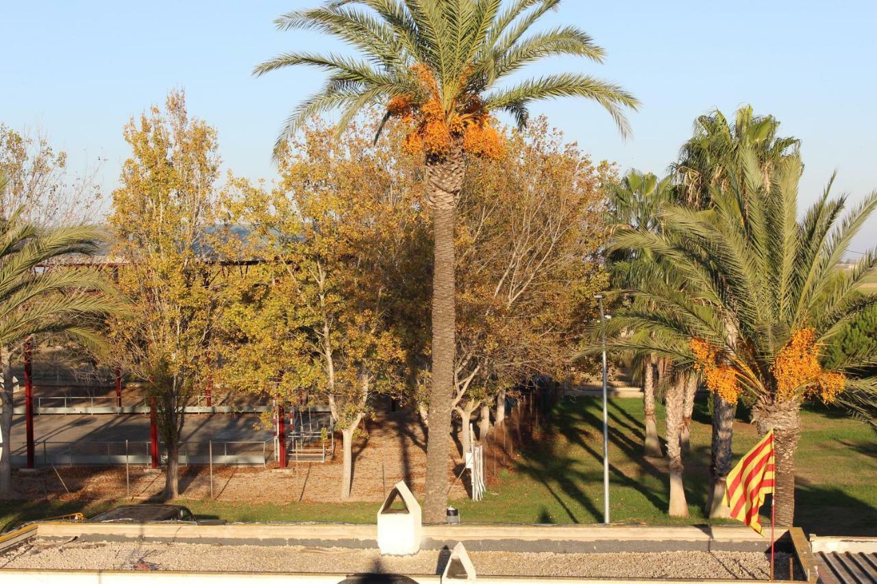 Lo Segador Casa de hóspedes El Poble Nou del Delta Exterior foto